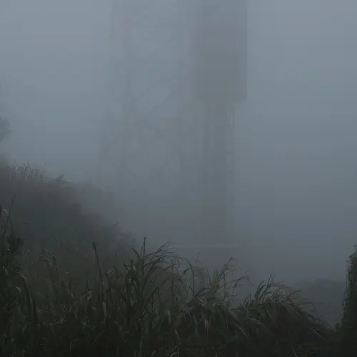 Peak Fog collection thumbnail image